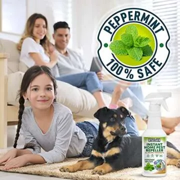 Peppermint Oil Bug Spray - Safe for Kids & Pets - 16 OZ