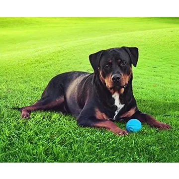 Pet Qwerks Talking Babble Ball for Dogs - Interactive Toy