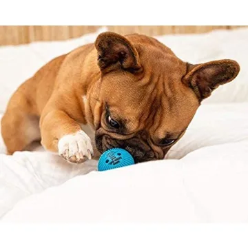Pet Qwerks Talking Babble Ball for Dogs - Interactive Toy