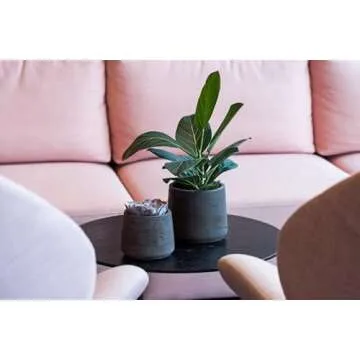 Pottery Pots Black Washed Fiberstone Planter Indoor and Outdoor Flower Pot 8" H x 9" W