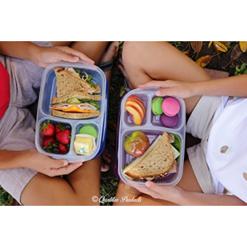 Qualitas Premium Kids Bento Boxes for Healthy Meals