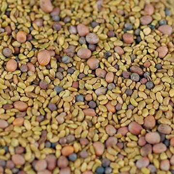 Handy Pantry 3 Part Salad Sprout Seed Mix - 1 Lbs Brand: Certified Organic Sprouting Seeds: Radish, ...