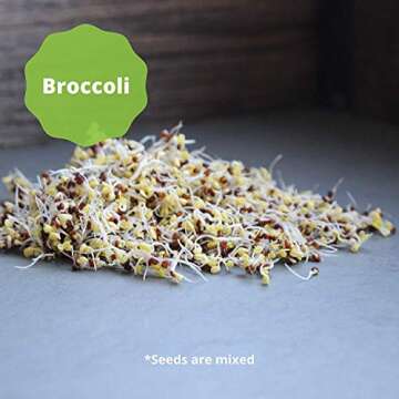 Handy Pantry 3 Part Salad Sprout Seed Mix - 1 Lbs Brand: Certified Organic Sprouting Seeds: Radish, Broccoli & Alfalfa: Cooking, Food Storage or Delicious Salad Sprouts