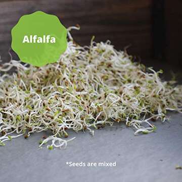 Handy Pantry 3 Part Salad Sprout Seed Mix - 1 Lbs Brand: Certified Organic Sprouting Seeds: Radish, Broccoli & Alfalfa: Cooking, Food Storage or Delicious Salad Sprouts
