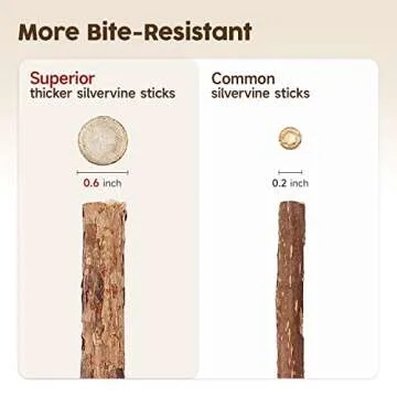 Potaroma 3 Pack Natural Silvervine Sticks Cat Toys, Catmint Silvervine Blend Sticks, Catnip Kittens Chew Toys Teeth Cleaning, Matatabi Dental Care Cat Treat Edible Kitty Lick Toys, Package May Vary