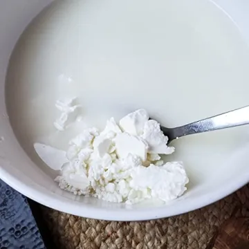 Cultures for Health Feta Cheese Starter Kit for Homemade Cheese