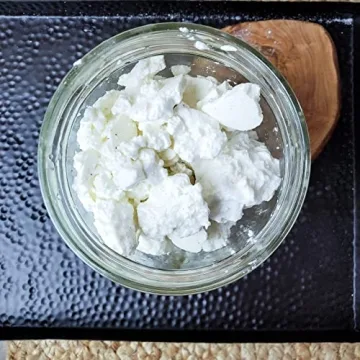 Cultures for Health Feta Cheese Starter Kit for Homemade Cheese