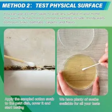 Mold Test Kit - 12 Tests for Home & Indoor Air Quality