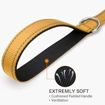 Joytale Reflective Leash for Safety and Comfort in Walks