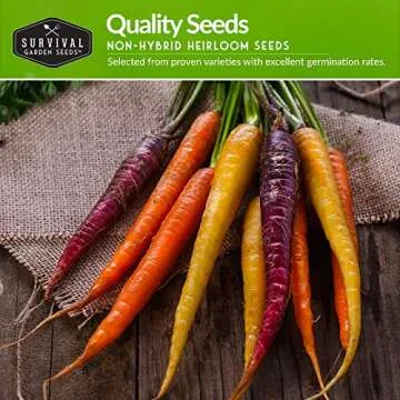 Fall Vegetable Seed Collection for Healthy Home Gardens