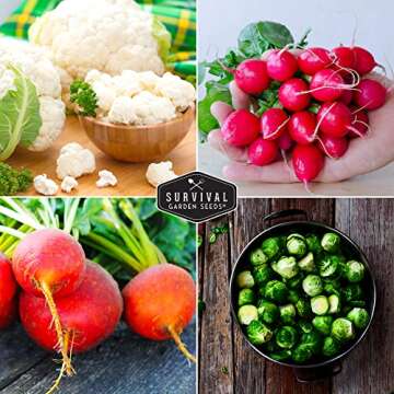 Fall Vegetable Seed Collection for Healthy Home Gardens