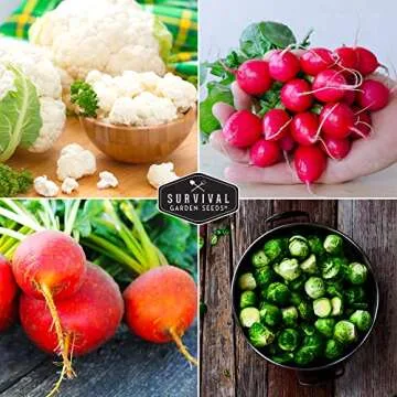 Fall Vegetable Seed Collection for Healthy Home Gardens