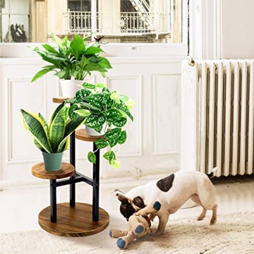 Stylish 3 Tier Indoor Plant Stand for Home Decor