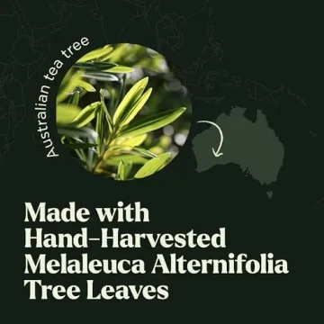 Pure Australian Tea Tree Essential Oil for Aromatherapy