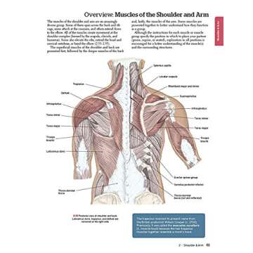 Explore Anatomy with Trail Guide Series Essentials Package