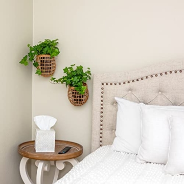 HyakuOku Handwoven Rattan Onion Basket - Pack of 2