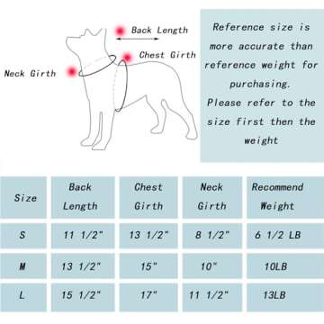 AiliStar Cat Surgery Recovery Suit for Quick Healing