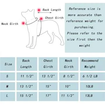 AiliStar Cat Surgery Recovery Suit for Quick Healing