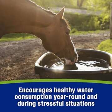 Farnam Apple Elite Horse Electrolyte Powder, Replaces minerals lost in sweat during exercise, extreme weather & stressful conditions, 5 lb., 40 day supply