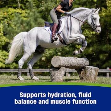 Farnam Apple Elite Horse Electrolyte Powder, Replaces minerals lost in sweat during exercise, extreme weather & stressful conditions, 5 lb., 40 day supply