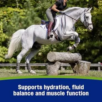Farnam Apple Elite Horse Electrolyte Powder, Replaces minerals lost in sweat during exercise, extreme weather & stressful conditions, 5 lb., 40 day supply