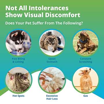 5Strands Pet Food & Environmental Intolerance Test for Dogs & Cats, Nutrition & Metals and Minerals ...