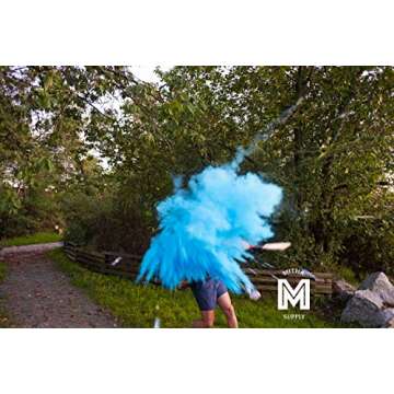 Baseball Gender Reveal Ball | Gender Reveal Baseball Balls Pink and Blue