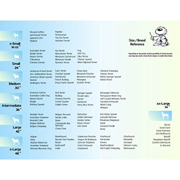 Best Pet Crate with Enhanced Security Features