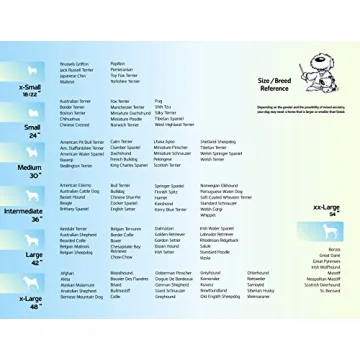 Best Pet Crate with Enhanced Security Features