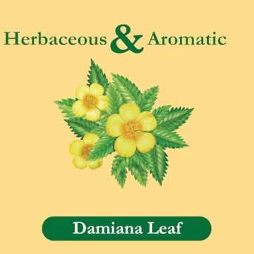 Tadin Damiana Tea, Herbal Tea, Caffeine Free Tea, Best as Hot Tea, Herbal Tea Bags, Decaffeinated Tea, 24 Tea Bags Per Box, Pack of 6