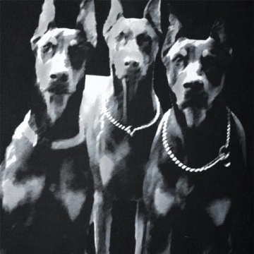 Stylish Aelfric Eden Doberman Graphic Oversized Tee