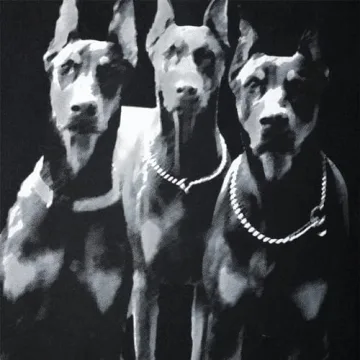 Stylish Aelfric Eden Doberman Graphic Oversized Tee