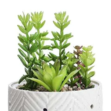 Artificial Succulent Plants Potted Diffusers for Essential Oils with 7 Colors LED Light,Ceramic Cool Mist Super Quiet Aromatherapy Diffuser for Home Office Bedroom