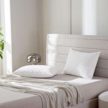 AIKOFUL Luxury Feathers Down Pillows Set of 2, 20x26"