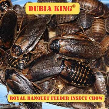 DUBIA KING Royal Banquet Ultra Premium Non-GMO Dubia Roach, Cricket and Feeder Insect Chow (1 LB)