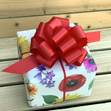 Red 5" Gift Pull Bows Set of 10 for All Occasions