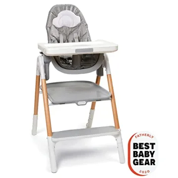 Skip Hop 2-in-1 High Chair for Toddlers and Infants