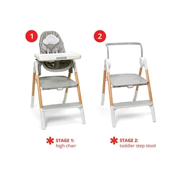 Skip Hop 2-in-1 High Chair for Toddlers and Infants