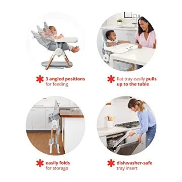 Skip Hop 2-in-1 High Chair for Toddlers and Infants