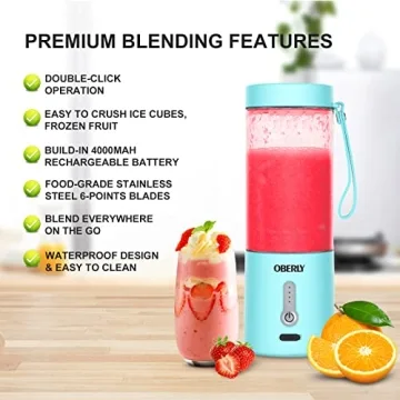 OBERLY 18oz Portable Blender USB Rechargeable Stainless Steel
