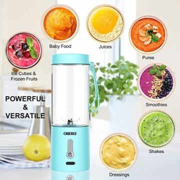 OBERLY 18oz Portable Blender USB Rechargeable Stainless Steel