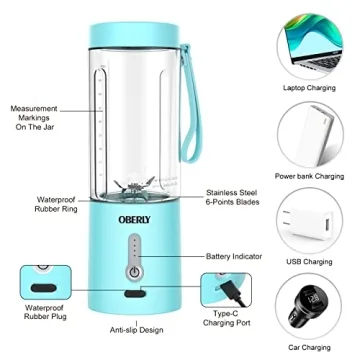 OBERLY 18oz Portable Blender USB Rechargeable Stainless Steel