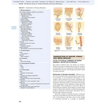 Guyton and Hall Textbook of Medical Physiology for Students