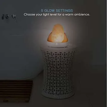 Pure Enrichment Himalayan Salt Lamp & Oil Diffuser