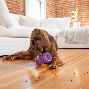 Outward Hound Double Snoop Interactive Dog Toy