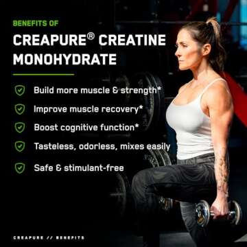 SteelFit Creapure Creatine Monohydrate Powder, Unflavored - German Micronized Creatine Powder for Men & Women - Gym Workout Nutritional Supplements for Muscle Gain, Brain Health & Strength Building