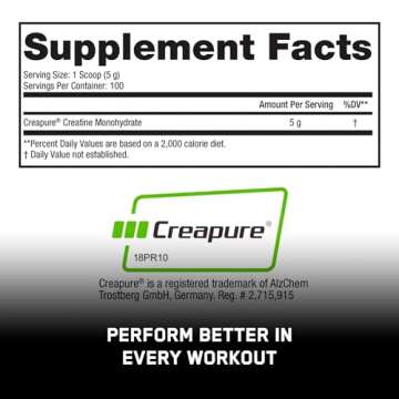 SteelFit Creapure Creatine Monohydrate Powder, Unflavored - German Micronized Creatine Powder for Men & Women - Gym Workout Nutritional Supplements for Muscle Gain, Brain Health & Strength Building