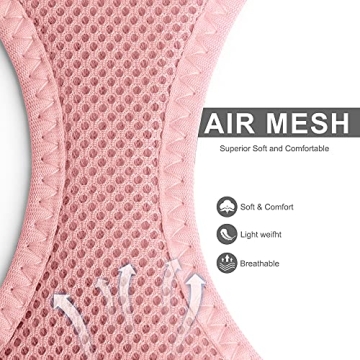 Fida Cat Harness & Leash Set for Kittens and Puppies