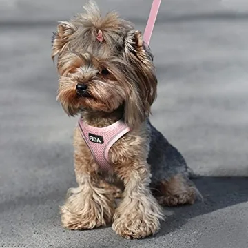 Fida Cat Harness & Leash Set for Kittens and Puppies