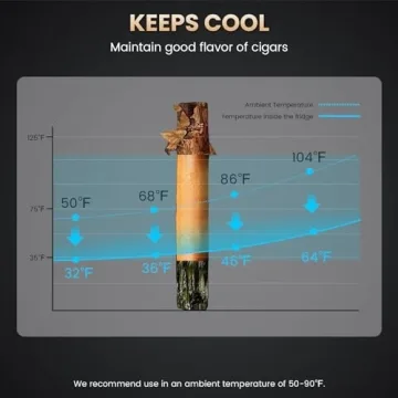 Mojgar Electric Humidor with Cedar Shelves and Hygrometer